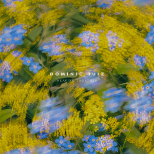 欧美女人与马性交
